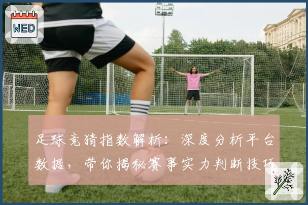 足球竞猜指数解析：深度分析平台数据，带你揭秘赛事实力判断技巧