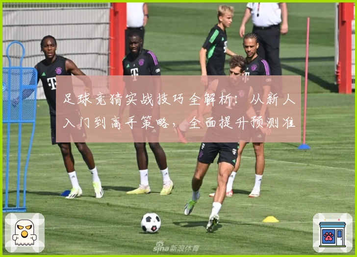 足球竞猜实战技巧全解析：从新人入门到高手策略，全面提升预测准确率