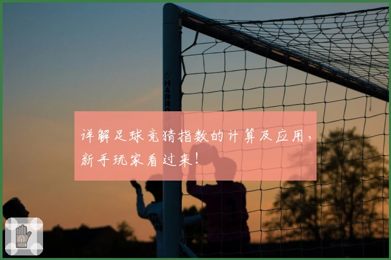 详解足球竞猜指数的计算及应用，新手玩家看过来！