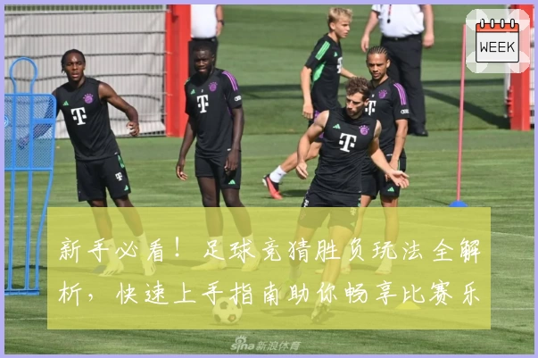 新手必看！足球竞猜胜负玩法全解析，快速上手指南助你畅享比赛乐趣