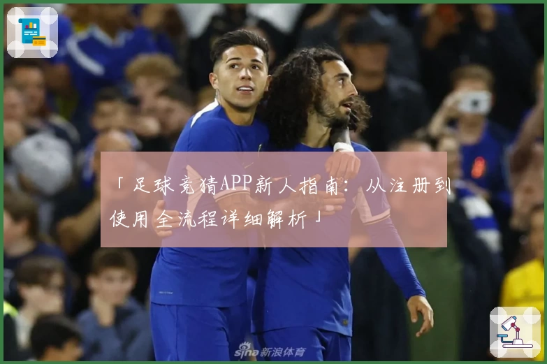 「足球竞猜APP新人指南：从注册到使用全流程详细解析」