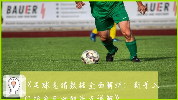 《足球竞猜数据全面解析：新手入门指南及功能亮点详解》