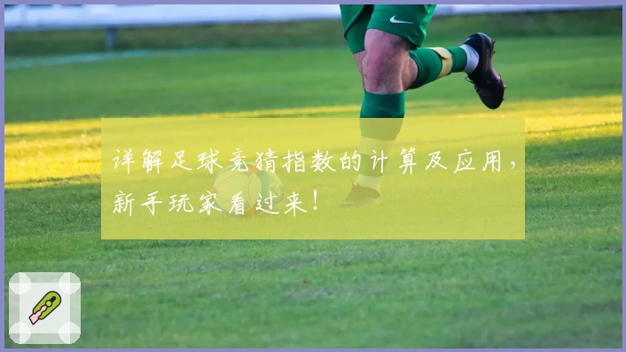 详解足球竞猜指数的计算及应用，新手玩家看过来！